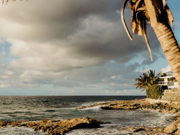 A coastal scene with a palm tree, rocky shoreline, ocean waves, and a cloudy sky, creating a tropical and serene atmosphere.