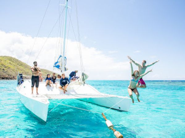 People are enjoying a sunny day on a catamaran, with two jumping into clear blue water, set against a backdrop of an island and blue sky.